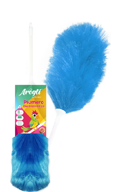 Argoli