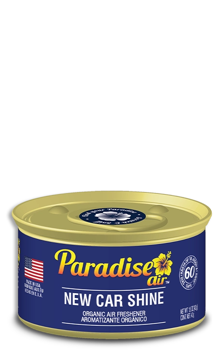 Paradise air